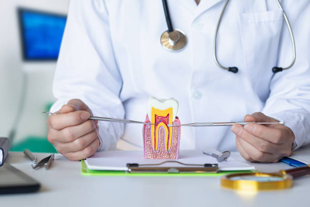Best Emergency TMJ Treatment in Shrub Oak, NY